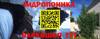мяу мяу мука Малоярославец