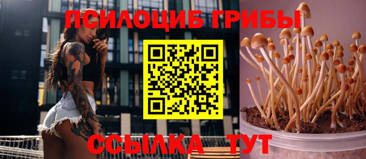Галлюциногенные грибы прущие грибы  Псилоцибиновые грибы Magic Shrooms  Арсеньев  Вход с VPN 