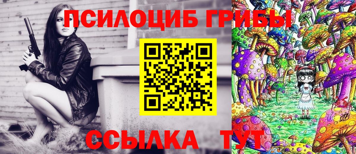 Галлюциногенные грибы Cubensis Арсеньев